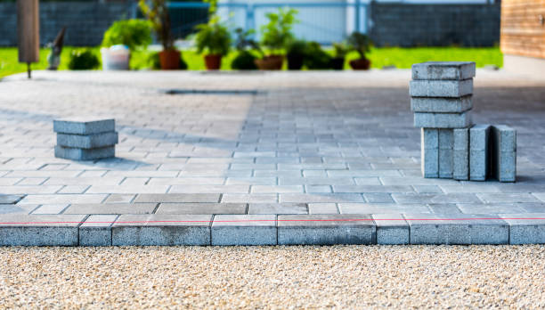 Best Driveway Drainage Solutions  in South Alamo, TX