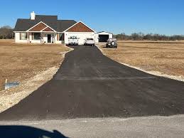 Best Driveway Pressure Washing  in South Alamo, TX